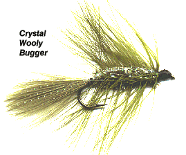 Crystal Wooly Bugger